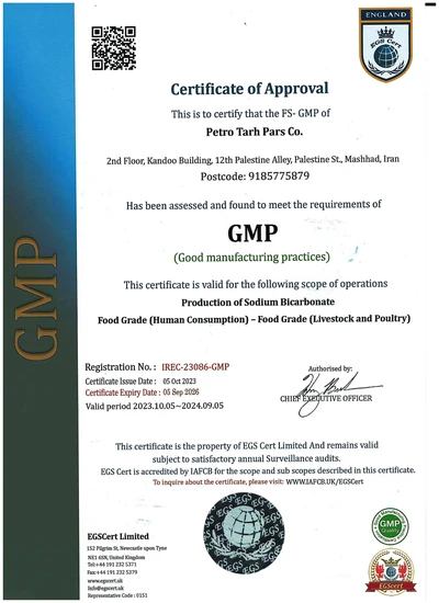 GMP- 2024- MHD