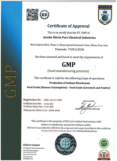 GMP- 2024- SHZ